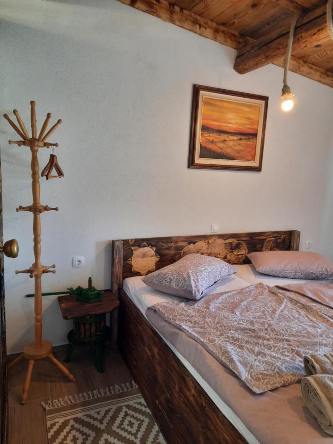 Casa Coronica Villa Secovlje Luaran gambar